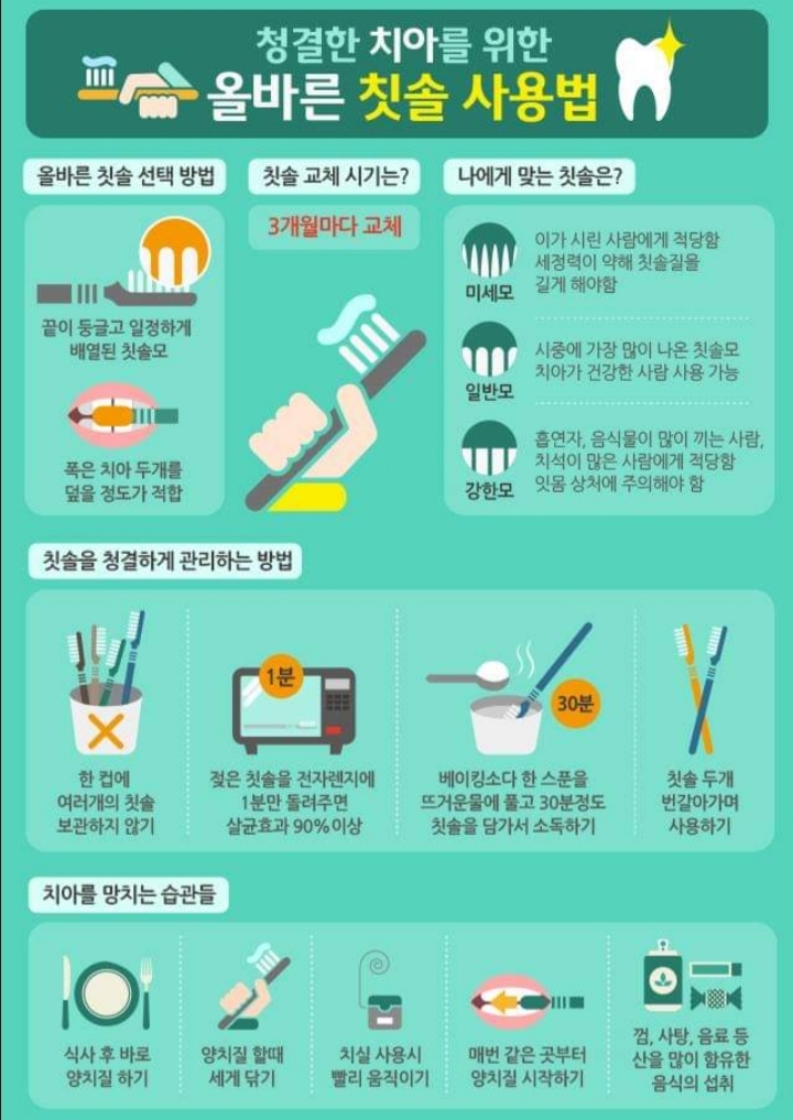 올바른 칫솔 사용법 -